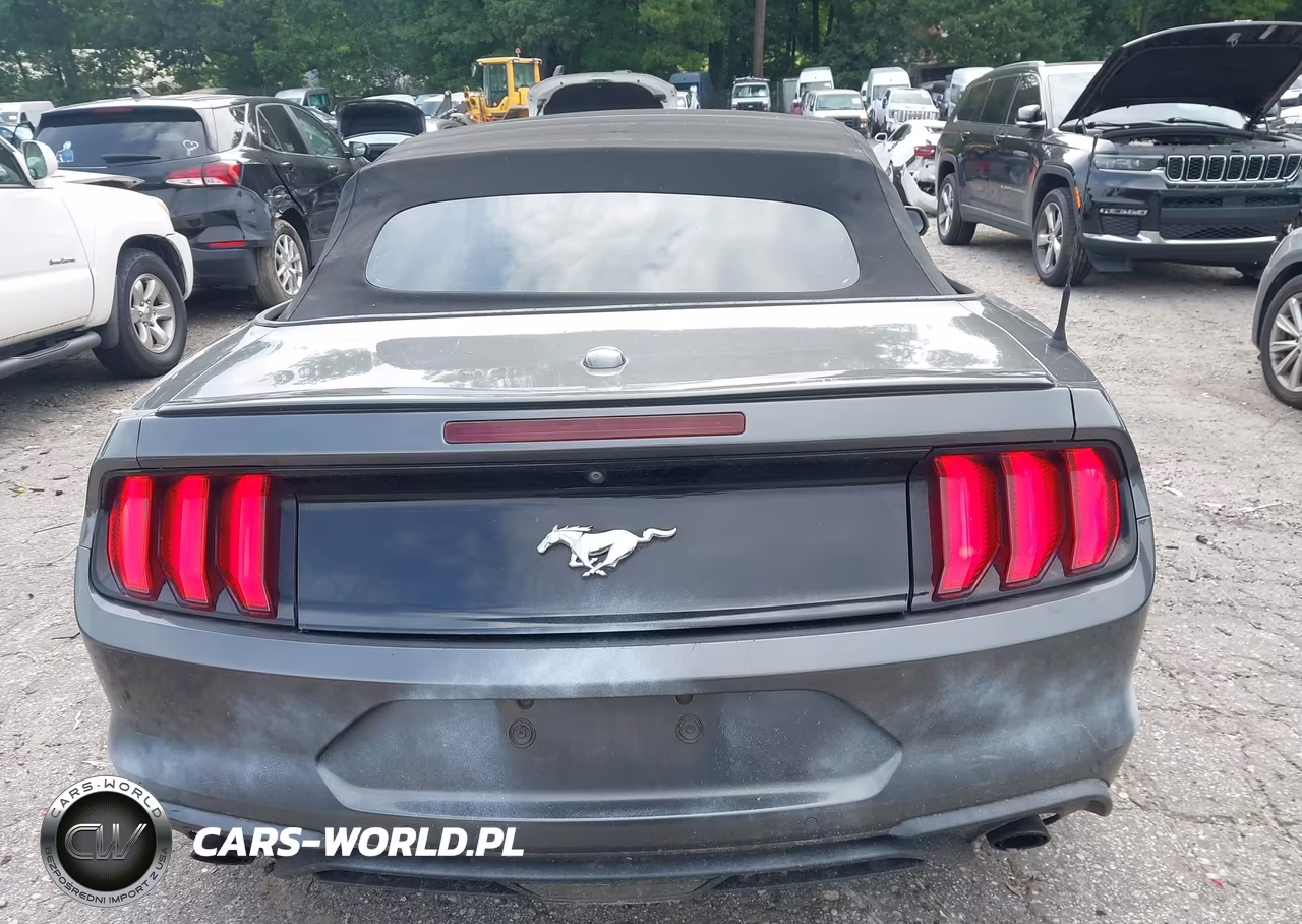 2019 Ford Mustang Ecoboost Premium VIN:1FATP8UH1K5138665 - 16