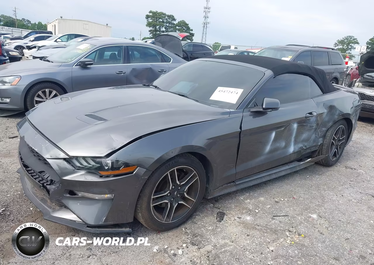 2019 Ford Mustang Ecoboost Premium VIN:1FATP8UH1K5138665 - 2