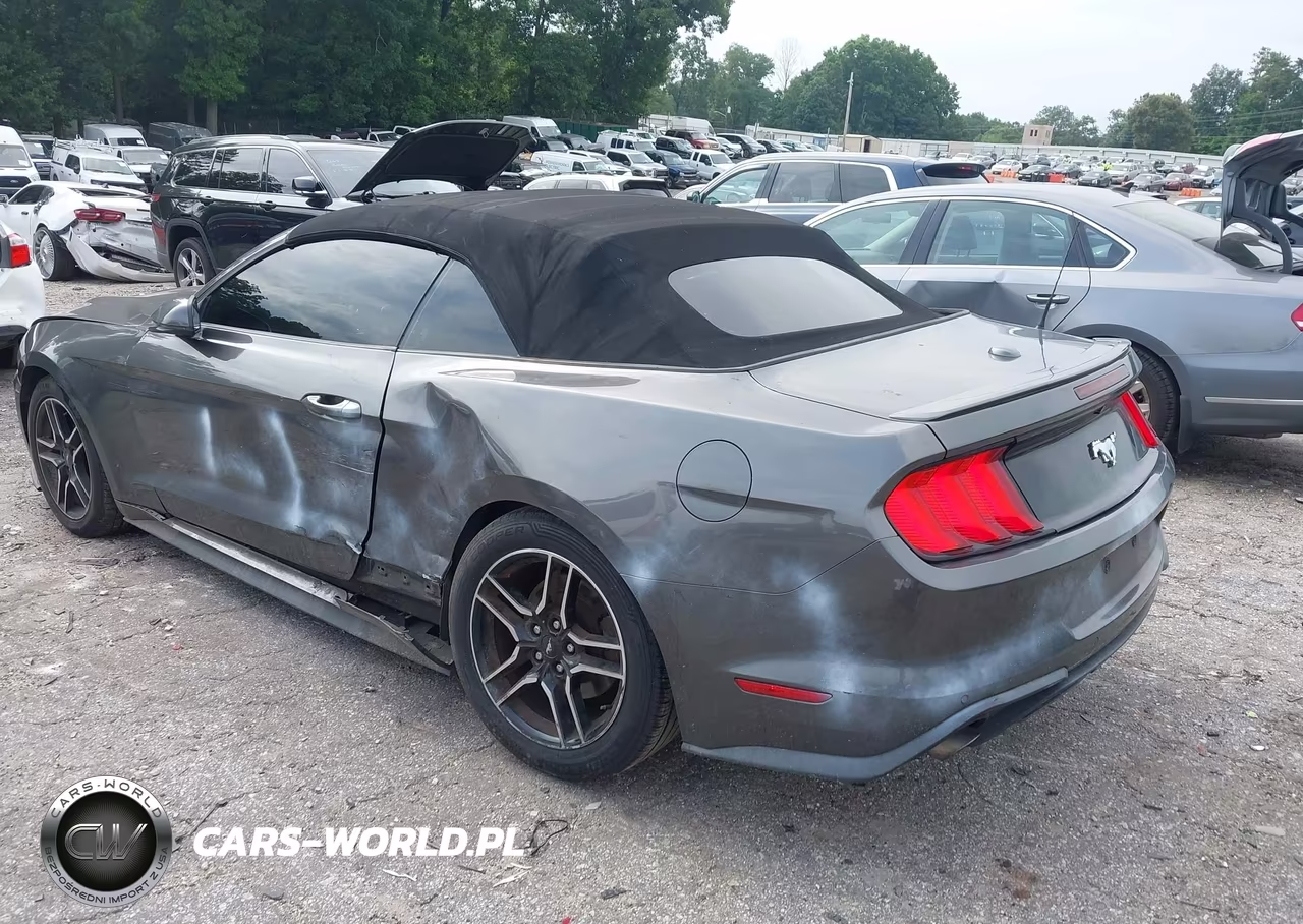 2019 Ford Mustang Ecoboost Premium VIN:1FATP8UH1K5138665 - 3