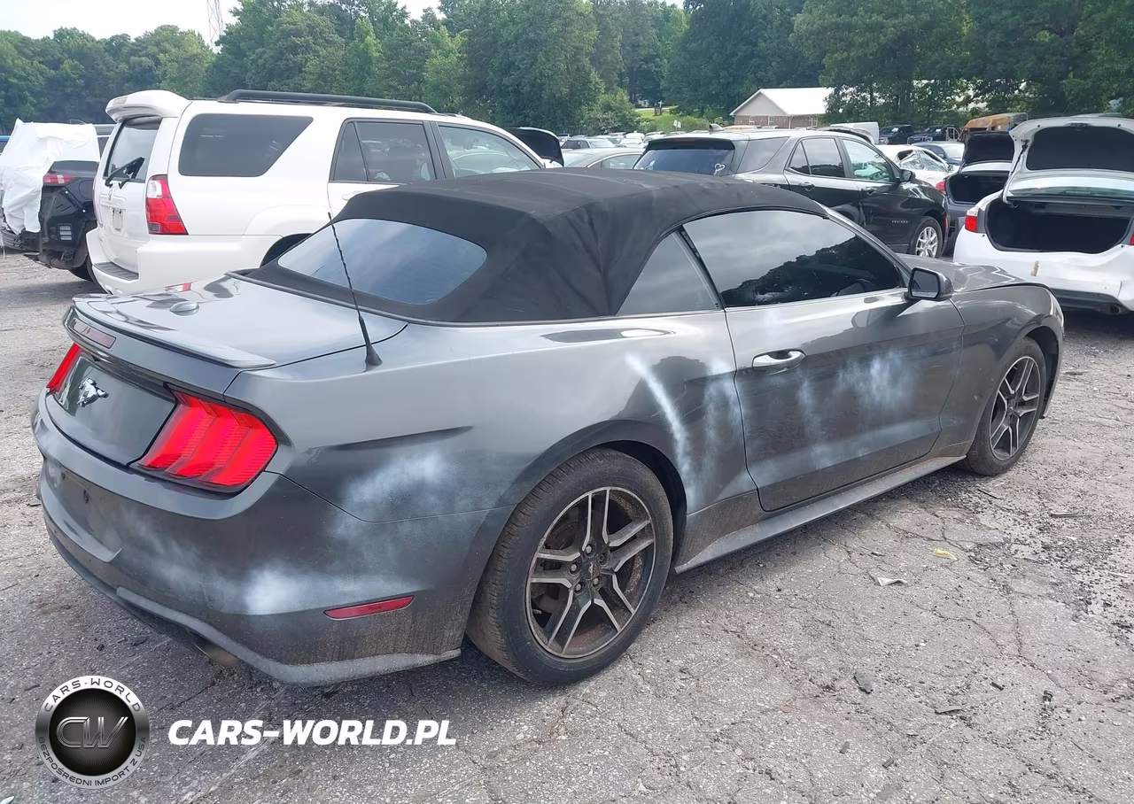 2019 Ford Mustang Ecoboost Premium VIN:1FATP8UH1K5138665 - 4