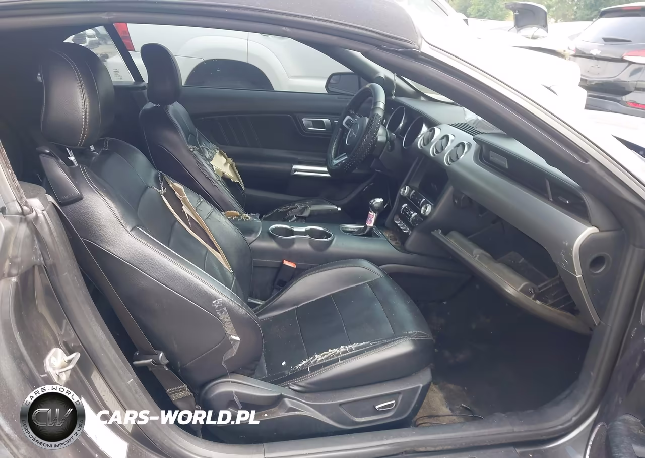 2019 Ford Mustang Ecoboost Premium VIN:1FATP8UH1K5138665 - 5