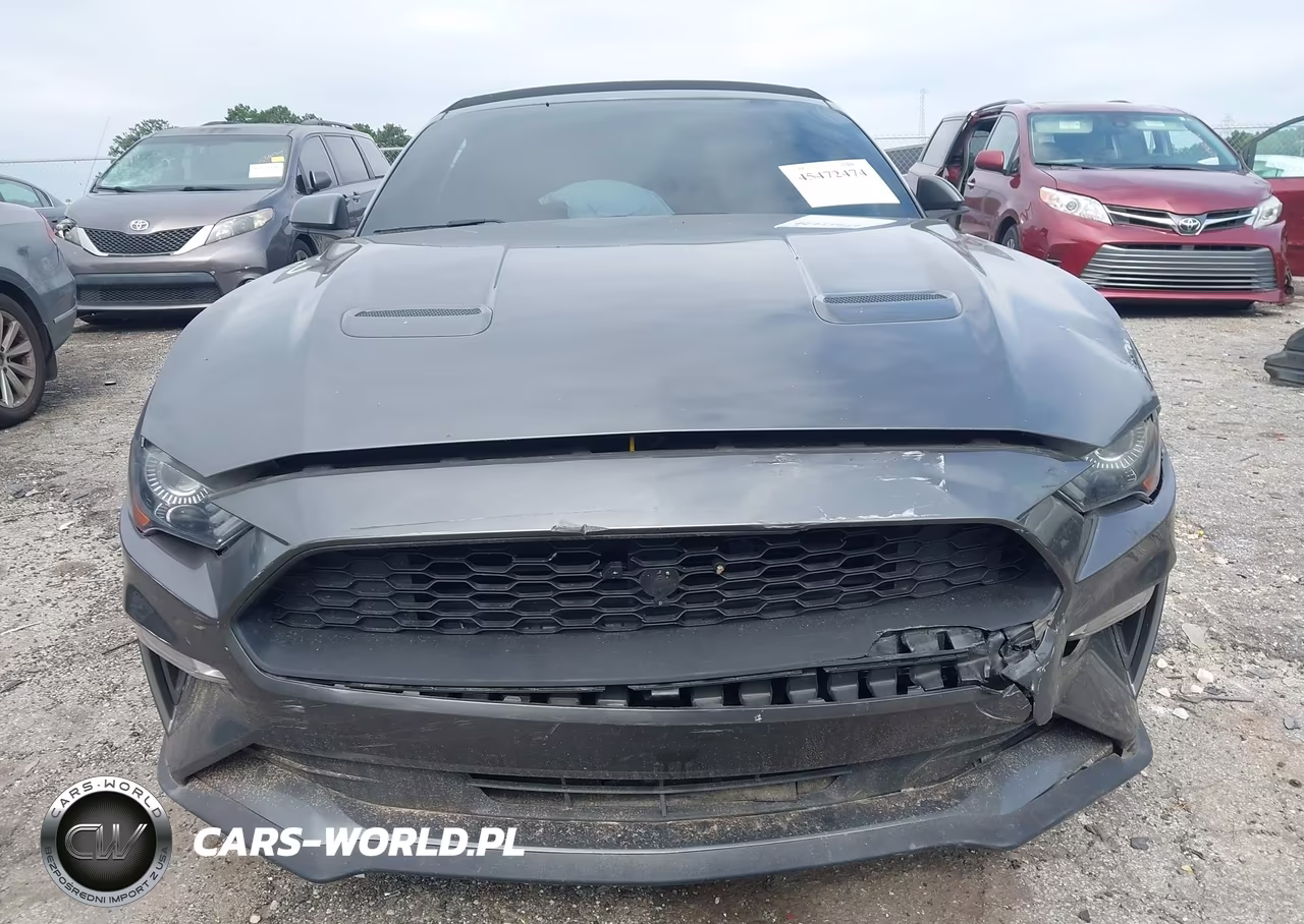 2019 Ford Mustang Ecoboost Premium VIN:1FATP8UH1K5138665 - 6