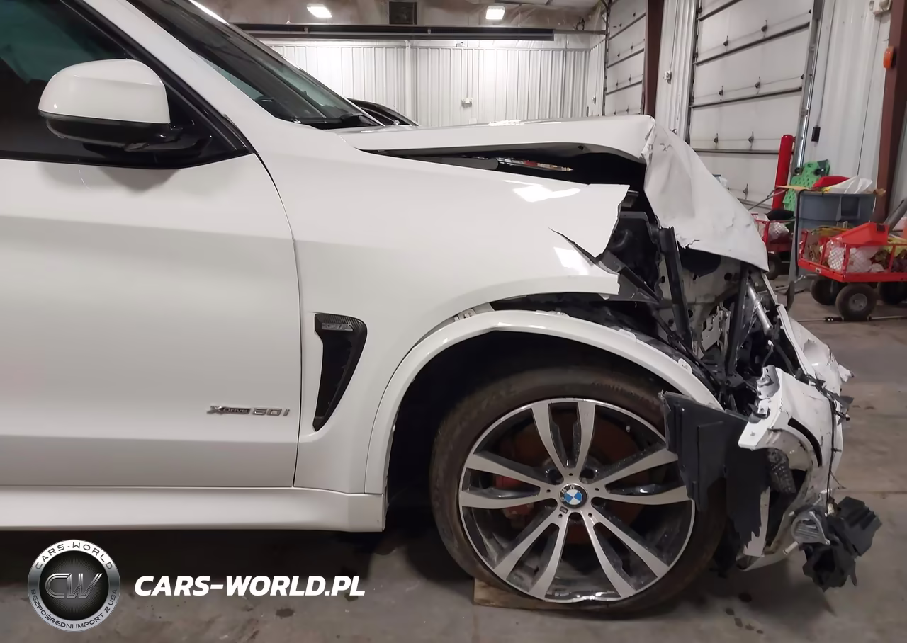 2016 BMW X5 xDrive50I VIN:5UXKR6C50G0J81666 - 19
