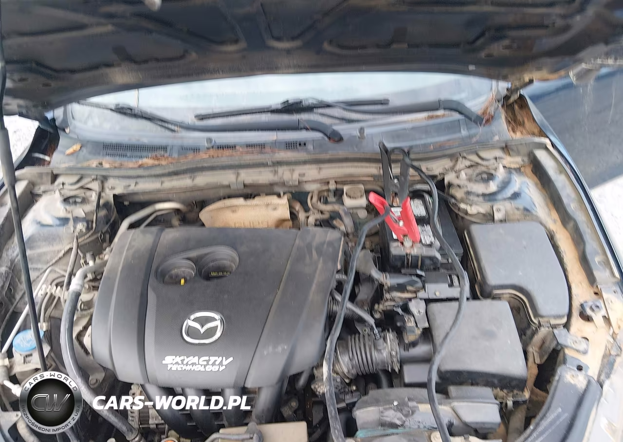 2016 Mazda Mazda3 I Sport VIN:JM1BM1U73G1309198 - 10