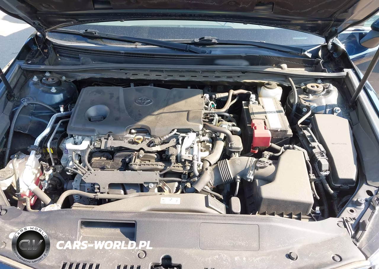 2019 Toyota Camry Le VIN:4T1B11HK5KU702338 - 10