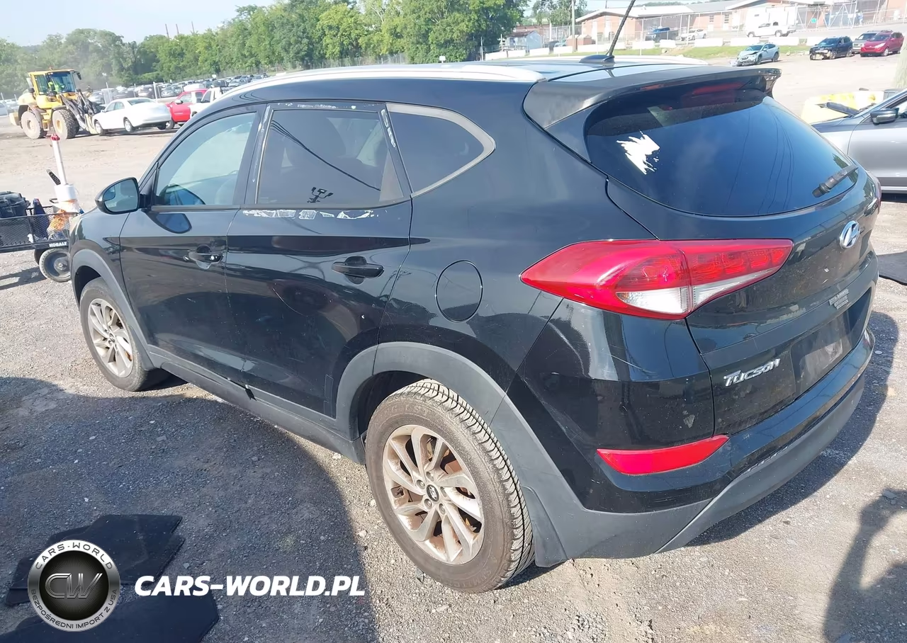 2016 Hyundai Tucson Se VIN:KM8J3CA47GU038371 - 3