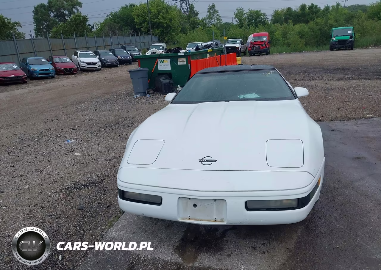 1994 Chevrolet Corvette VIN:1G1YY22P3R5110101 - 12