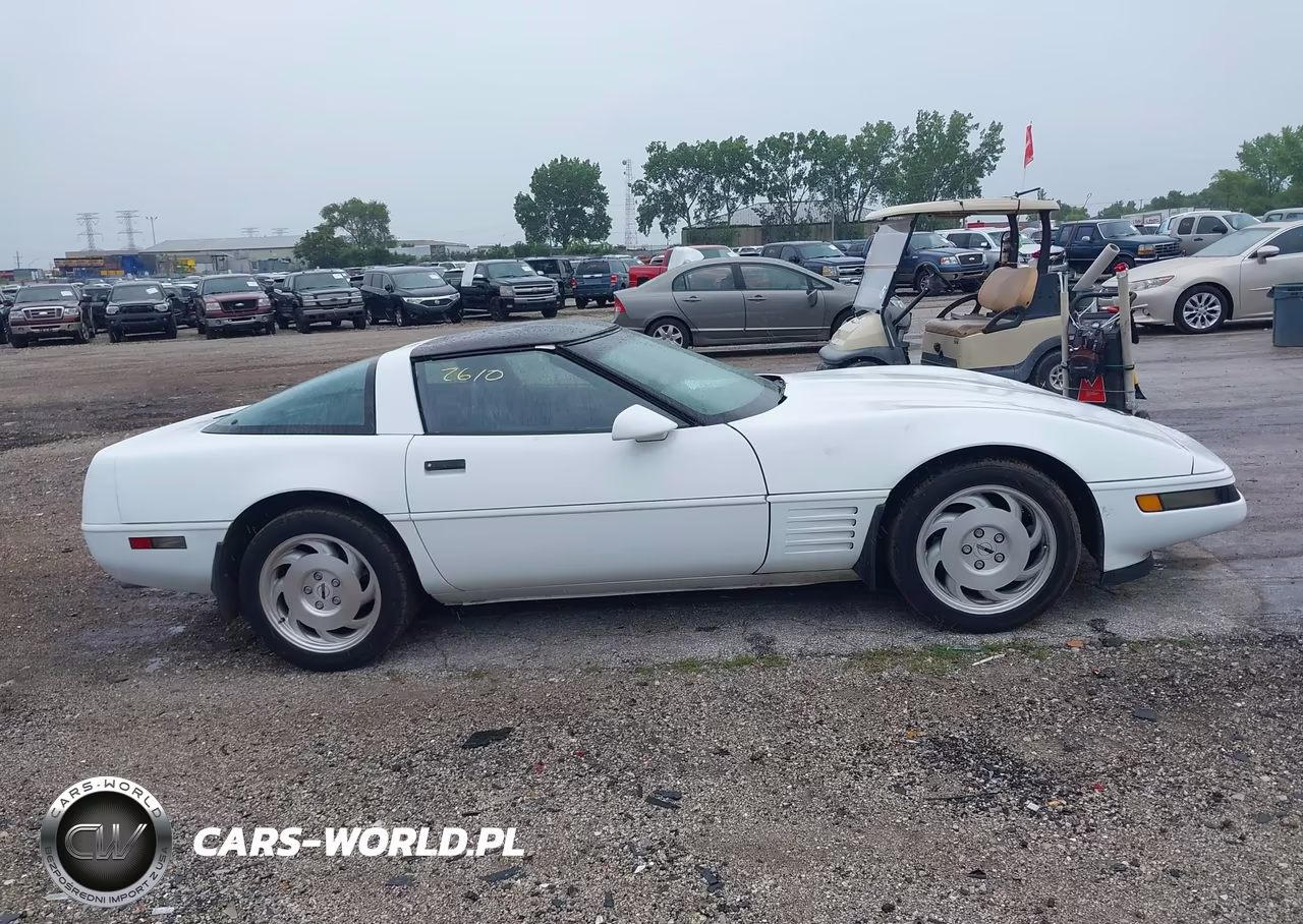 1994 Chevrolet Corvette VIN:1G1YY22P3R5110101 - 13