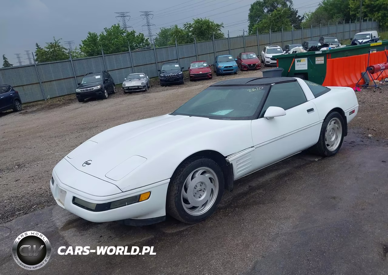 1994 Chevrolet Corvette VIN:1G1YY22P3R5110101 - 2