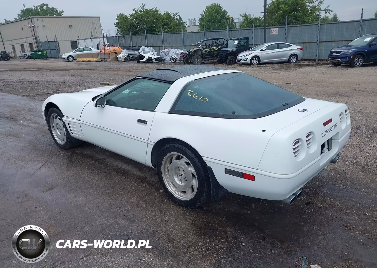 1994 Chevrolet Corvette VIN:1G1YY22P3R5110101 - 3