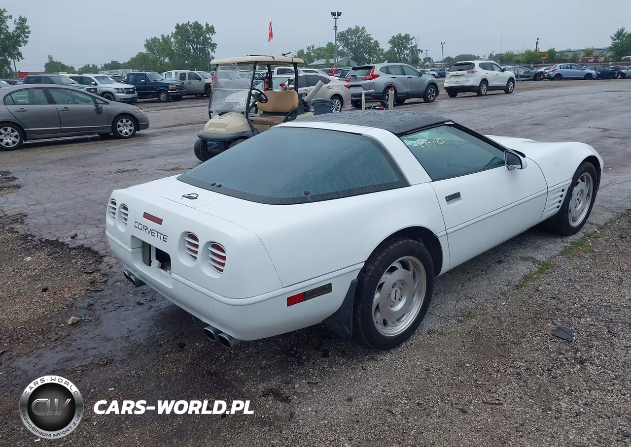 1994 Chevrolet Corvette VIN:1G1YY22P3R5110101 - 4