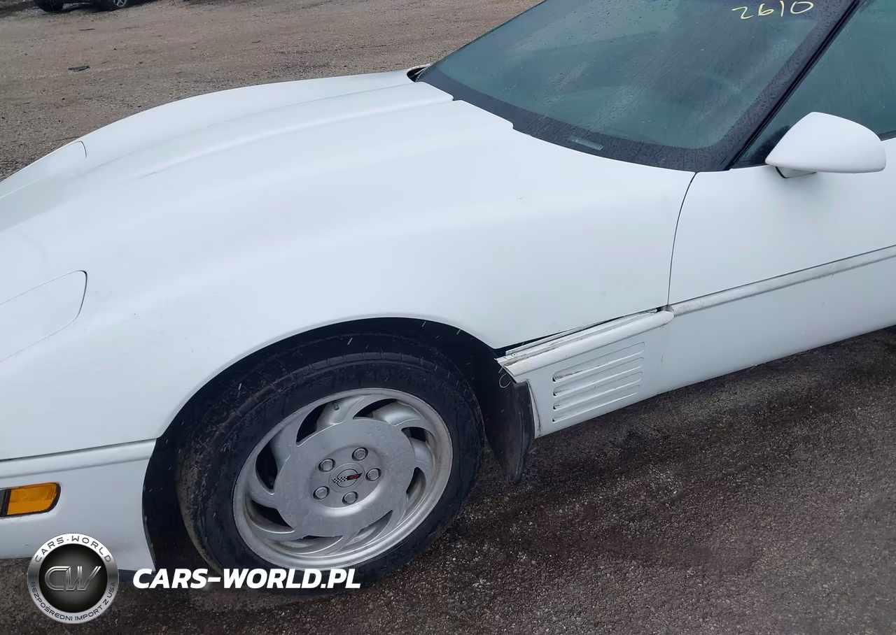 1994 Chevrolet Corvette VIN:1G1YY22P3R5110101 - 6