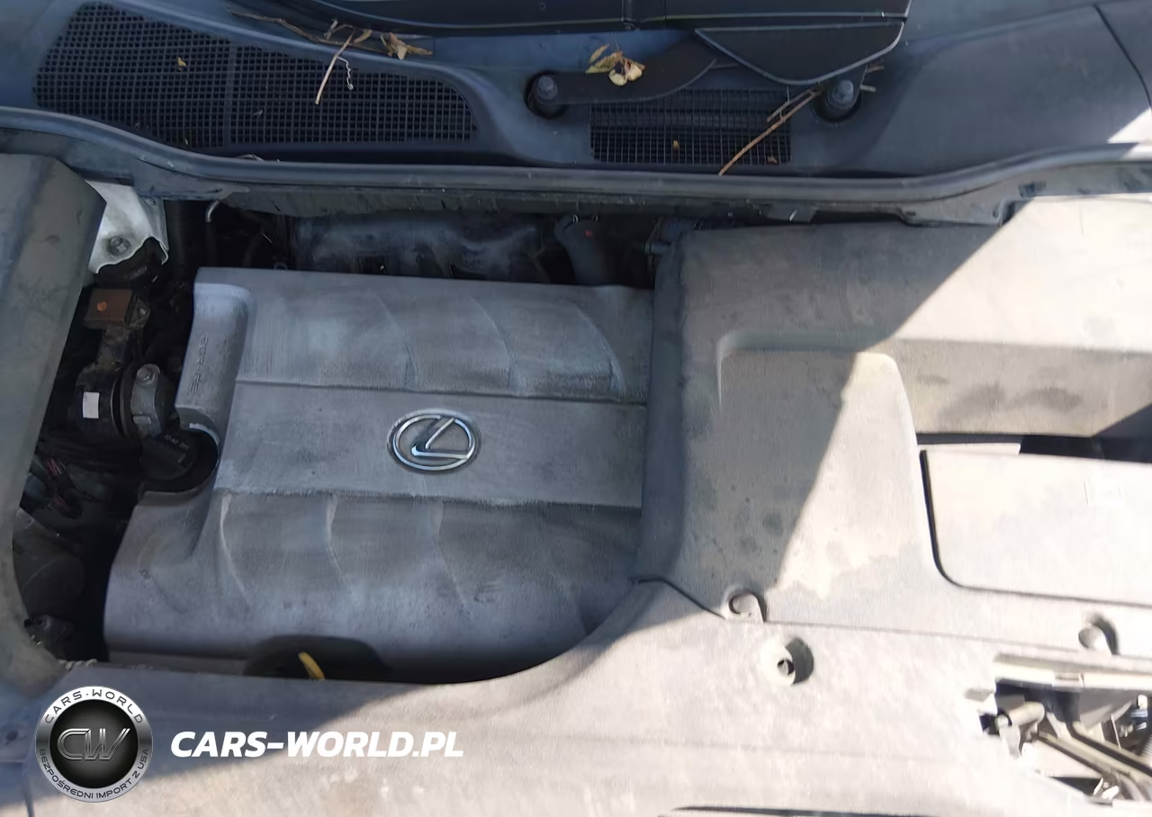 2015 Lexus Rx 350 VIN:2T2BK1BA3FC309969 - 10