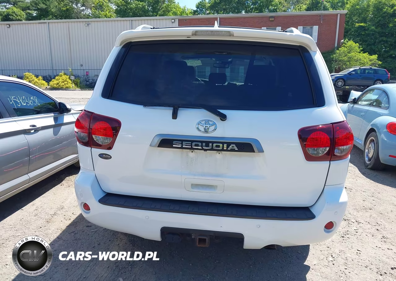 2020 Toyota Sequoia Limited VIN:5TDJY5G17LS176697 - 17