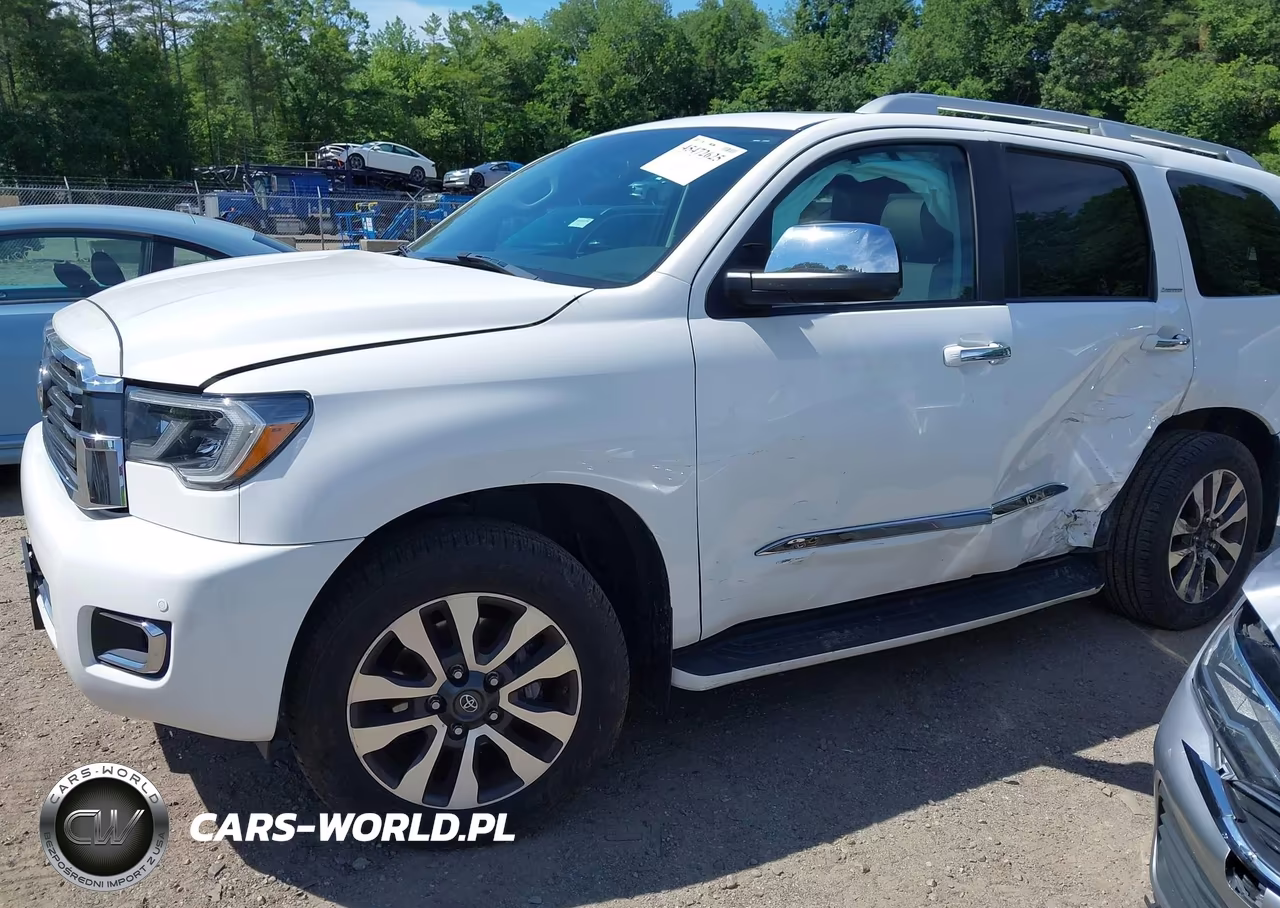 2020 Toyota Sequoia Limited VIN:5TDJY5G17LS176697 - 2