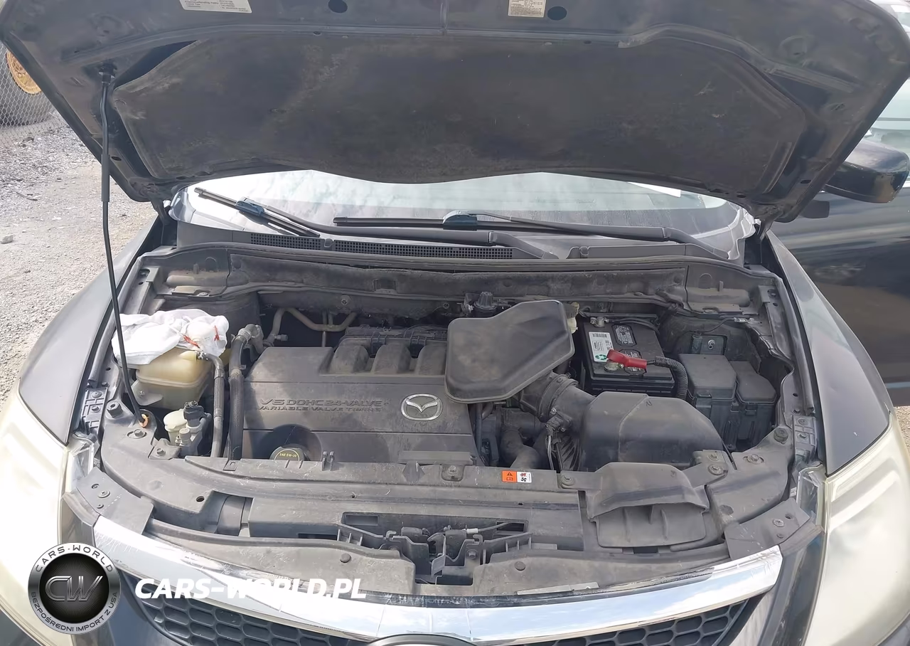 2009 Mazda Cx-9 Sport VIN:JM3TB28A290178920 - 10