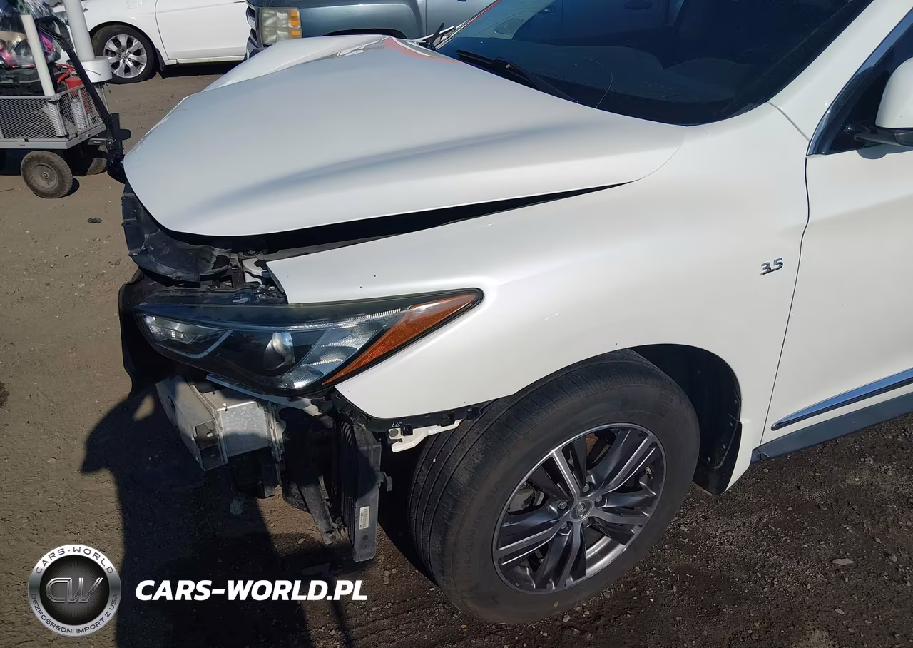 2017 Infiniti Qx60 VIN:5N1DL0MN6HC513788 - 20