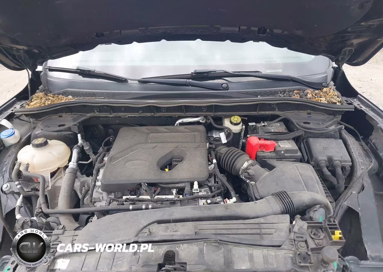2020 Ford Escape Se VIN:1FMCU9G64LUA42910 - 10