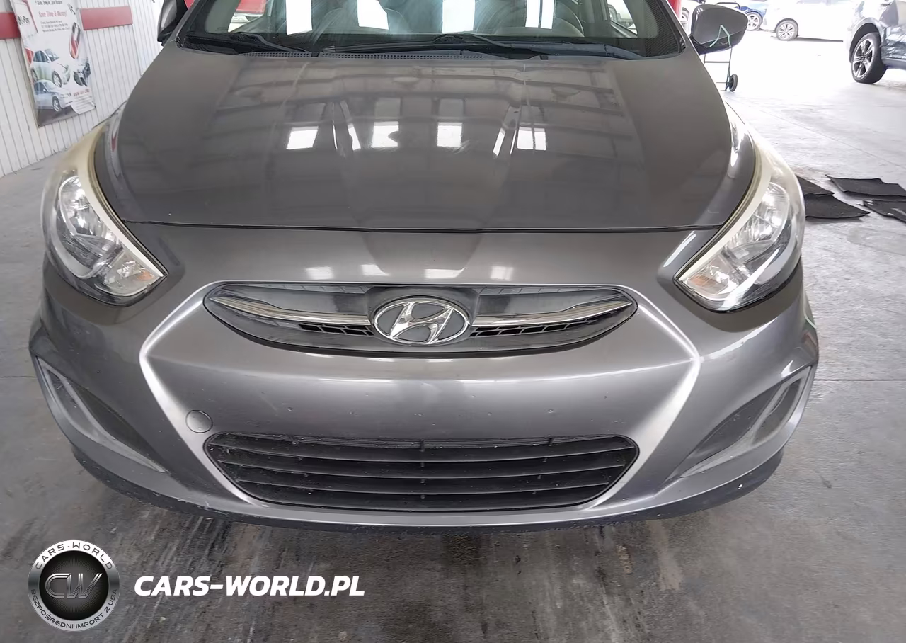 2017 Hyundai Accent Se VIN:KMHCT4AE2HU194018 - 12