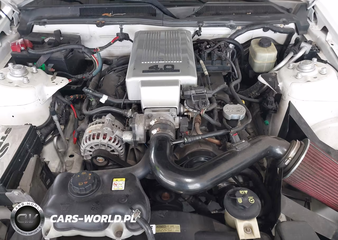 2006 Ford Mustang V6 VIN:1ZVFT80N165191674 - 10