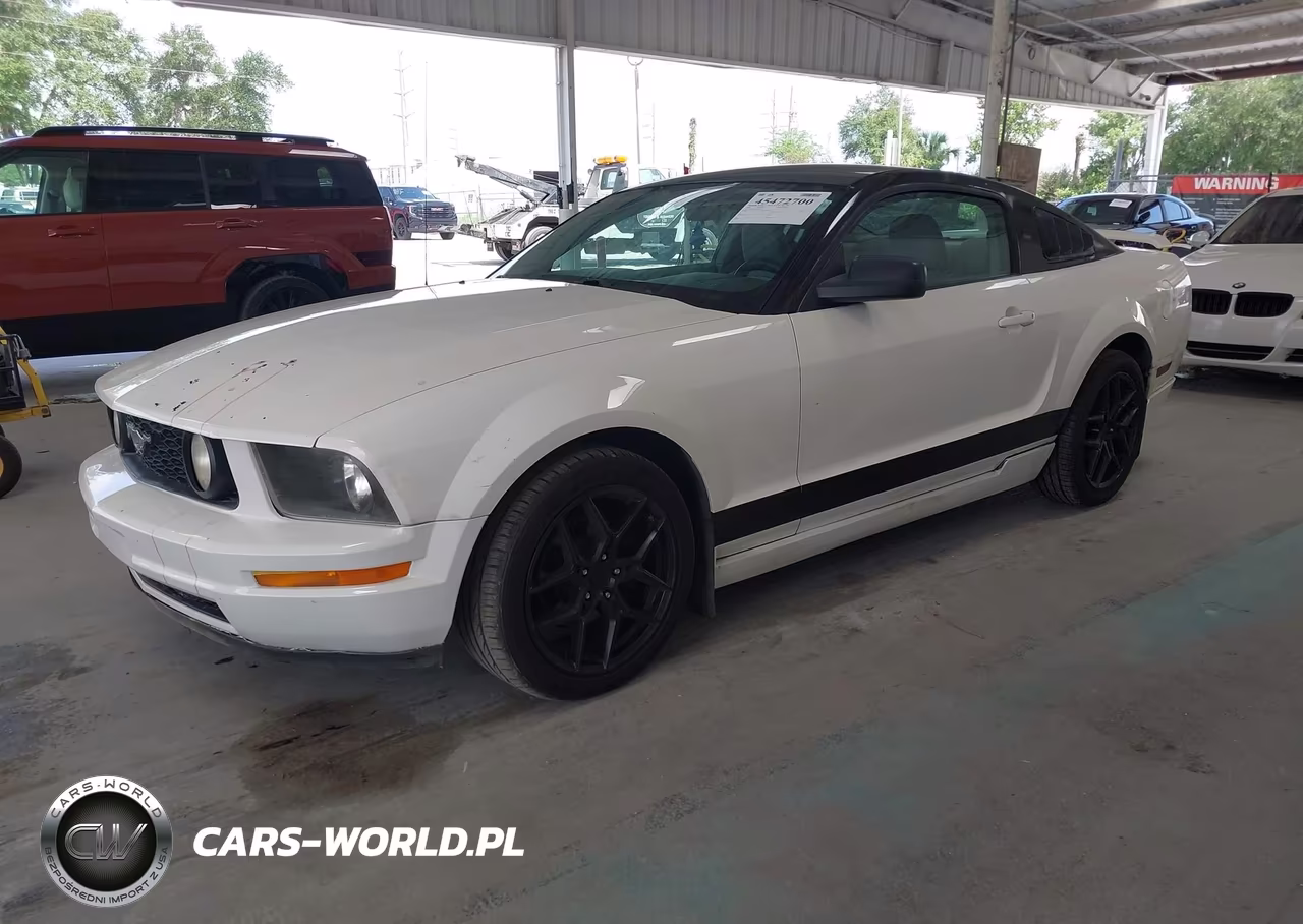 2006 Ford Mustang V6 VIN:1ZVFT80N165191674 - 2