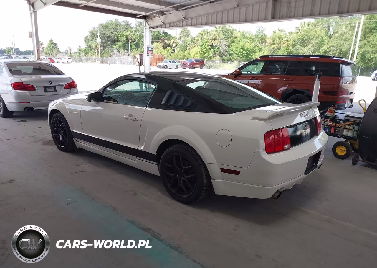 2006 Ford Mustang V6 VIN:1ZVFT80N165191674 - 3