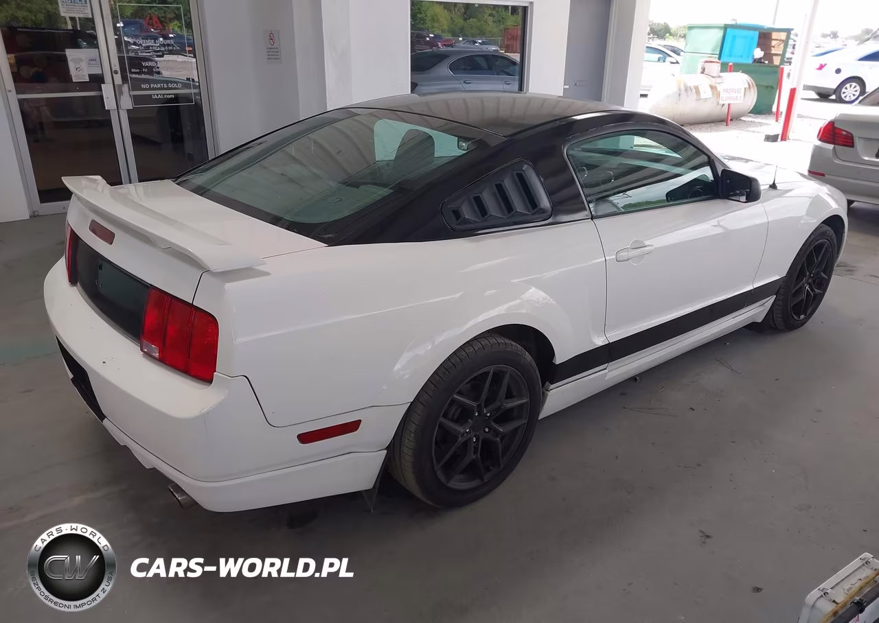 2006 Ford Mustang V6 VIN:1ZVFT80N165191674 - 4