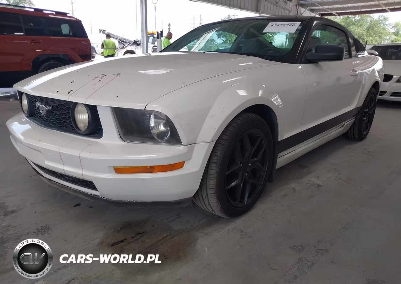 2006 Ford Mustang V6 VIN:1ZVFT80N165191674 - 6