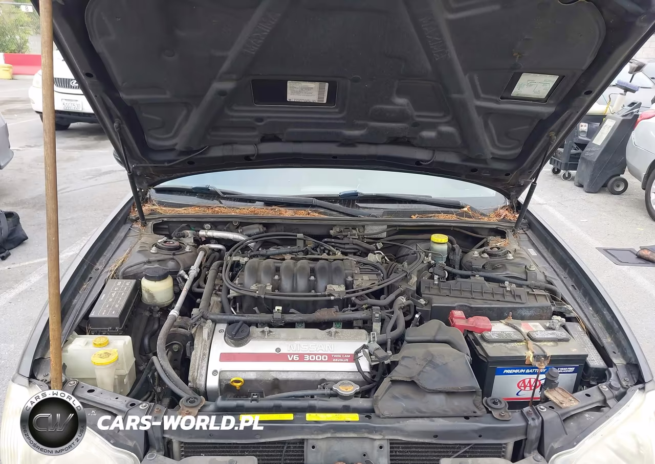 2000 Nissan Maxima Gle-Gxe-Se VIN:JN1CA31D1YT506320 - 10