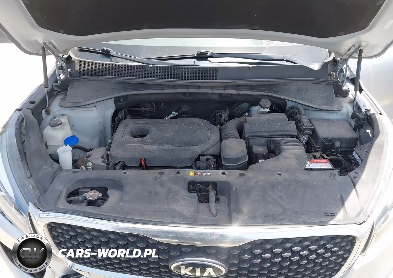 2016 Kia Sorento 2.4L Lx VIN:5XYPG4A31GG170656 - 10