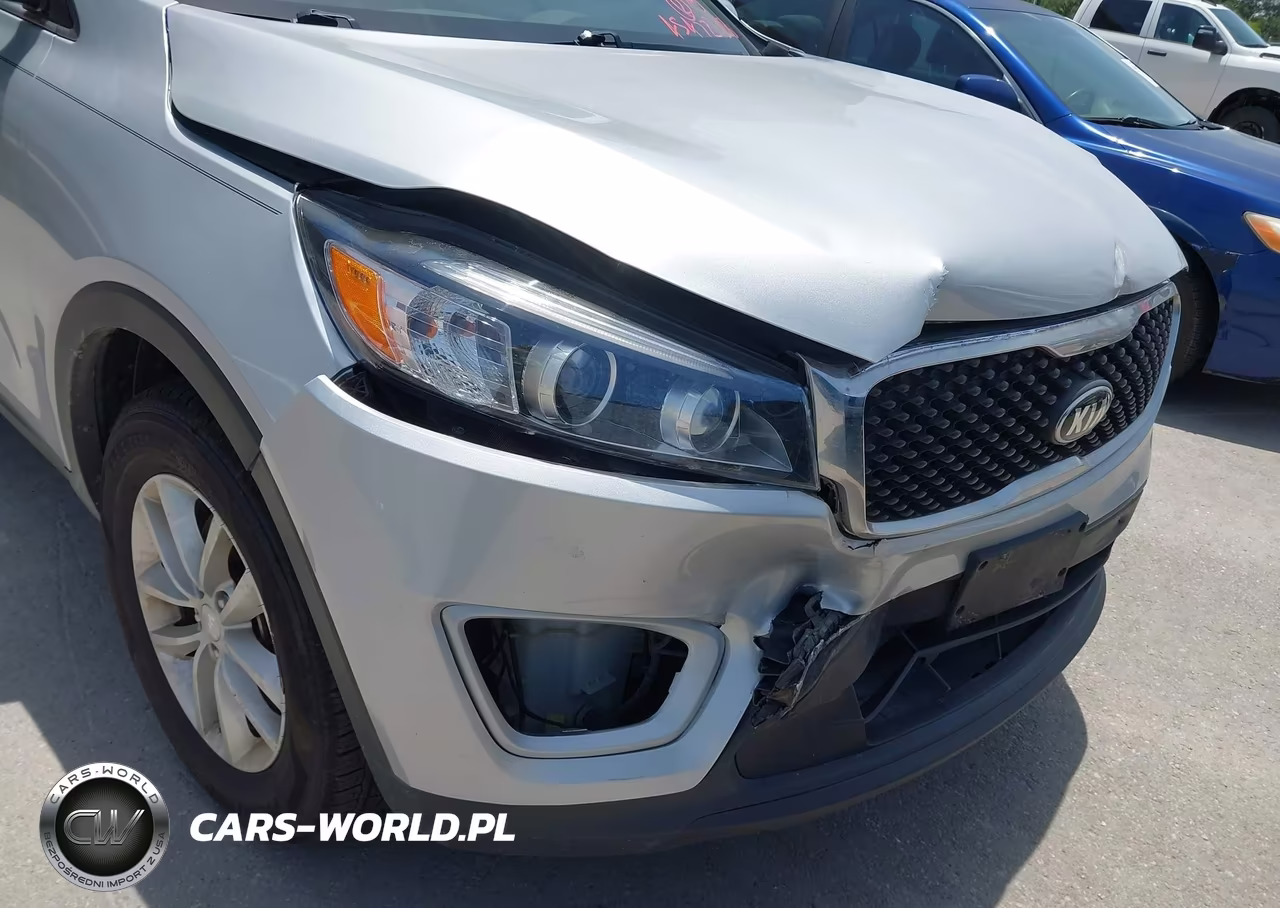 2016 Kia Sorento 2.4L Lx VIN:5XYPG4A31GG170656 - 17