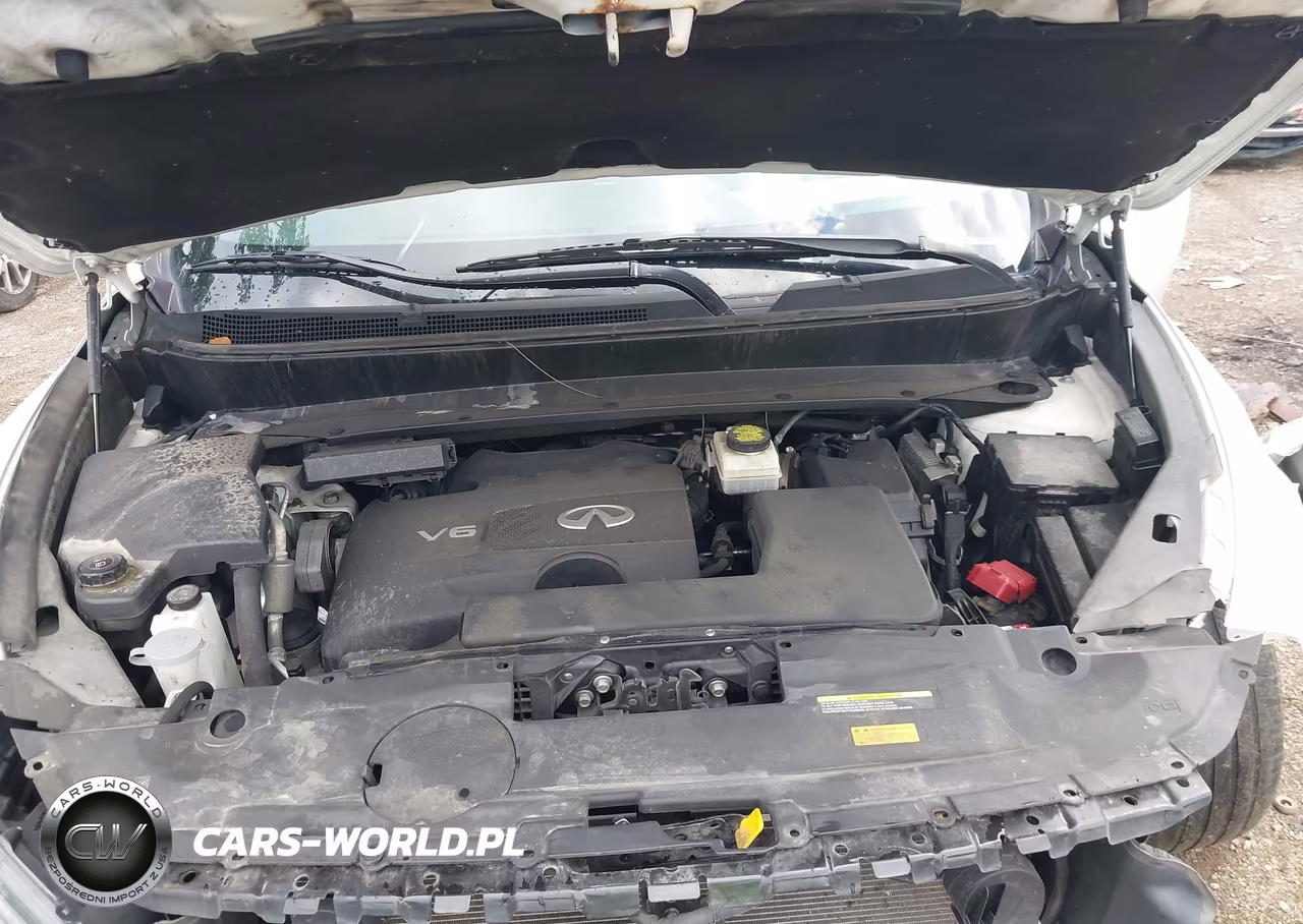 2019 Infiniti Qx60 Luxe VIN:5N1DL0MM3KC563577 - 10