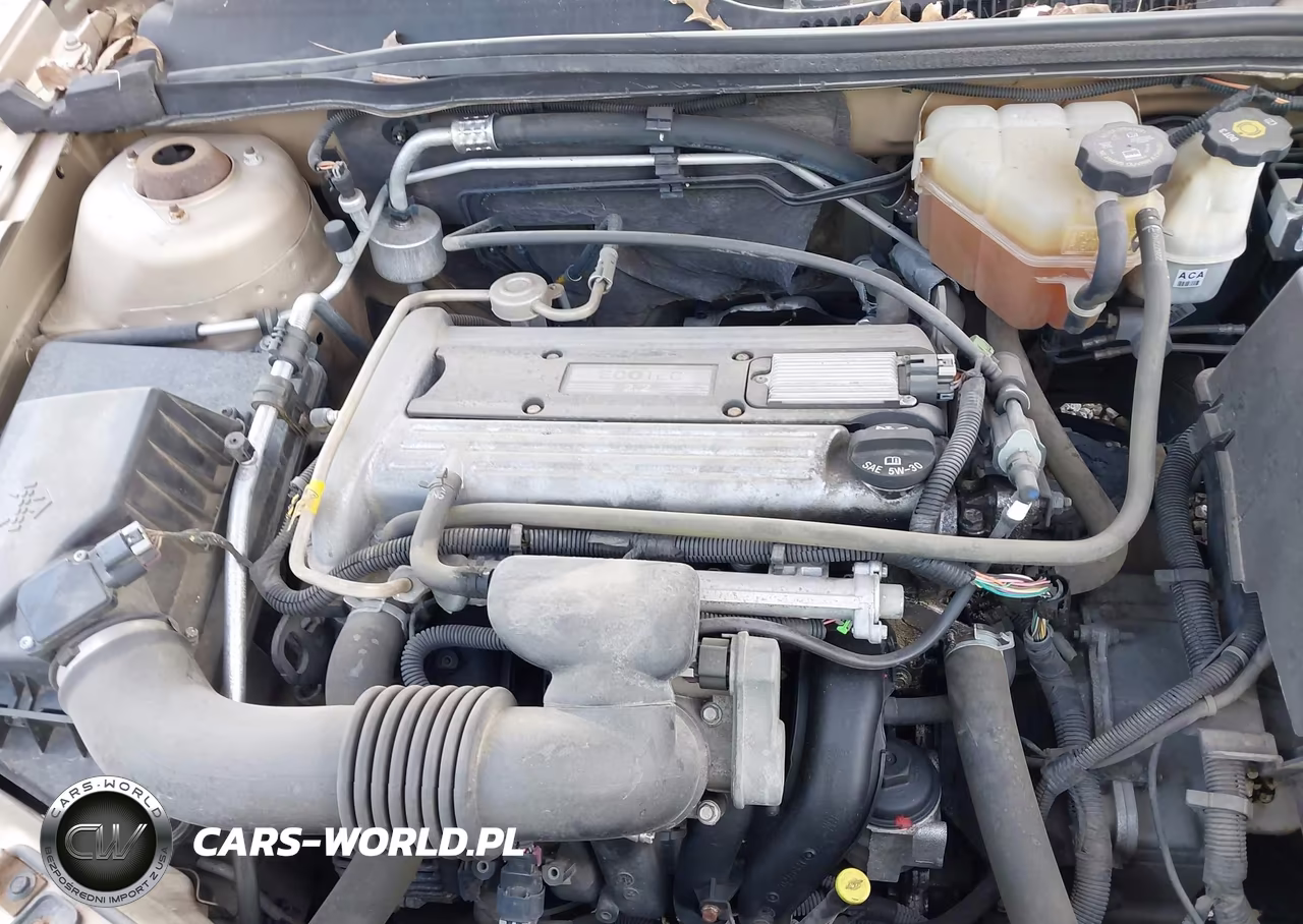 2005 Chevrolet Malibu VIN:1G1ZS52F65F310635 - 10