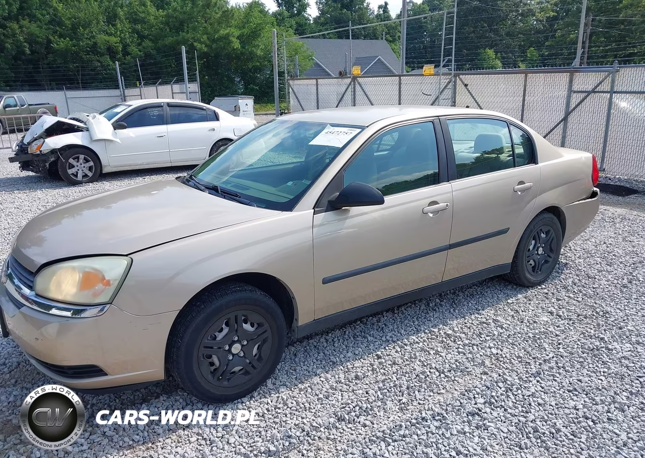2005 Chevrolet Malibu VIN:1G1ZS52F65F310635 - 2