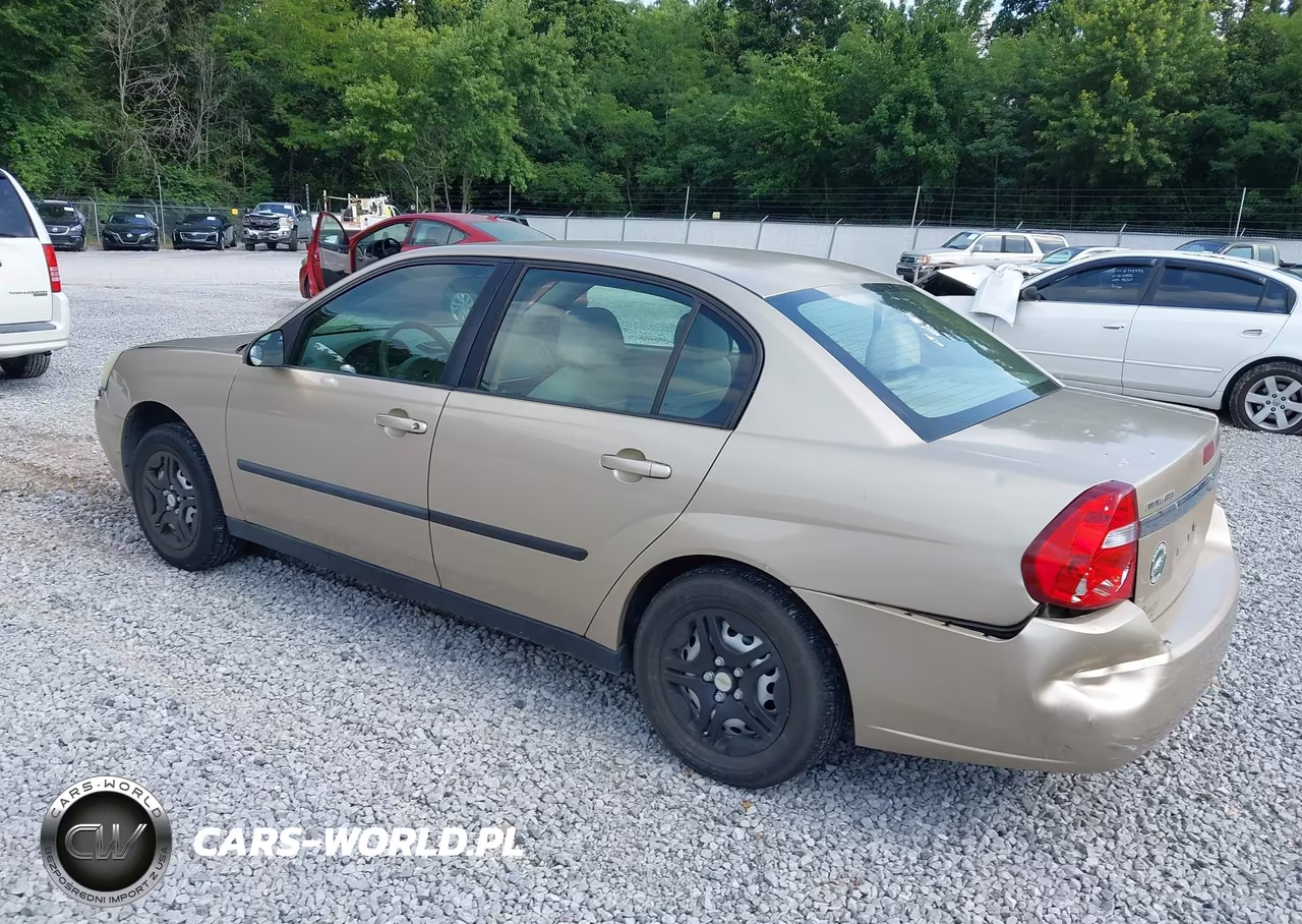 2005 Chevrolet Malibu VIN:1G1ZS52F65F310635 - 3