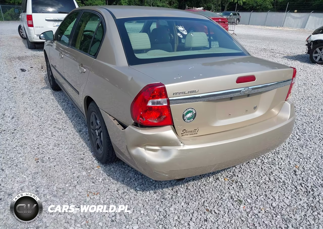 2005 Chevrolet Malibu VIN:1G1ZS52F65F310635 - 6