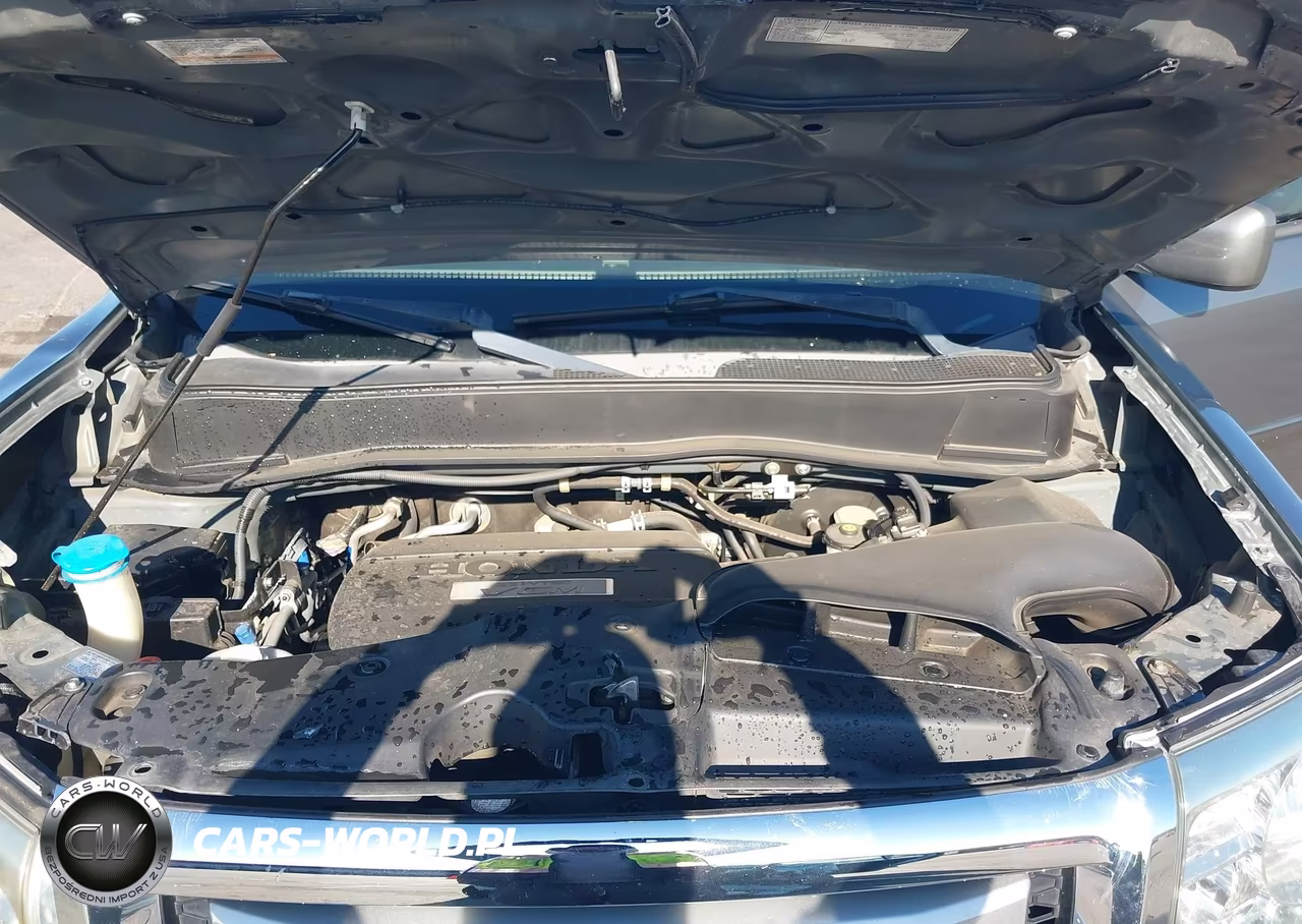 2009 Honda Pilot Ex VIN:5FNYF38479B015328 - 10