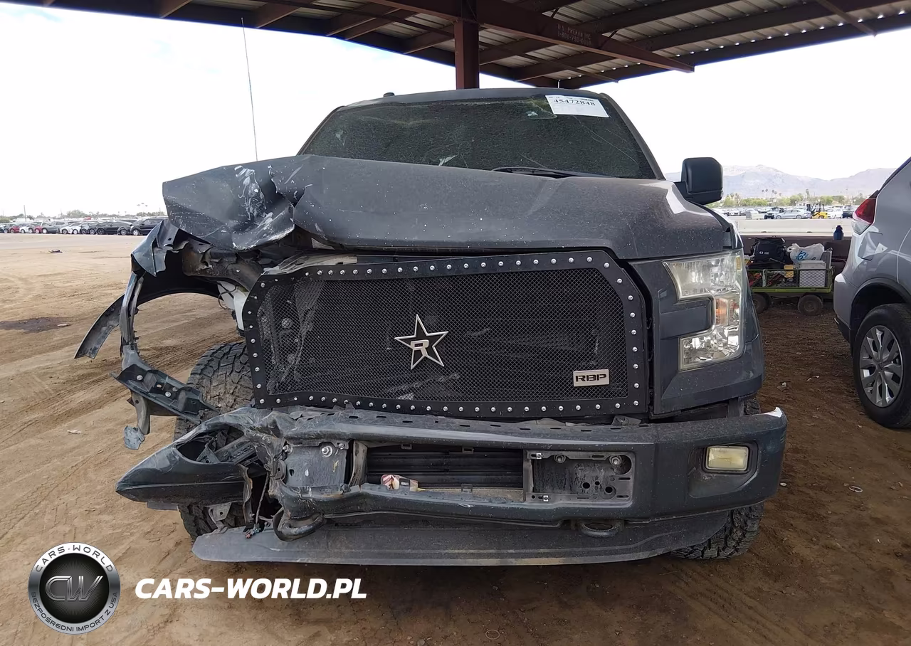 2016 Ford F-150 King Ranch-Lariat-Limited-Platinum-Xl-Xlt VIN:1FTEW1EG7GKF53078 - 12