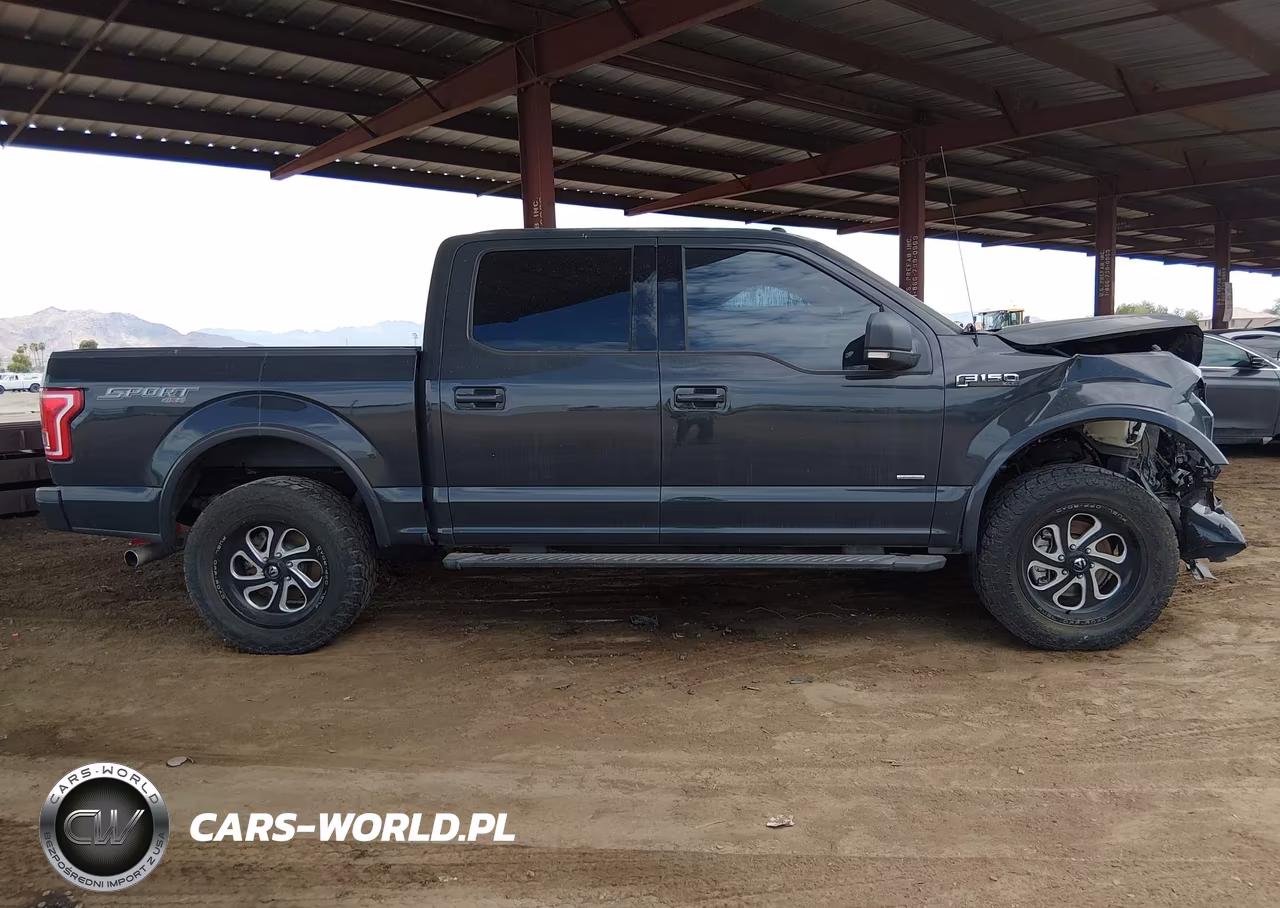 2016 Ford F-150 King Ranch-Lariat-Limited-Platinum-Xl-Xlt VIN:1FTEW1EG7GKF53078 - 13