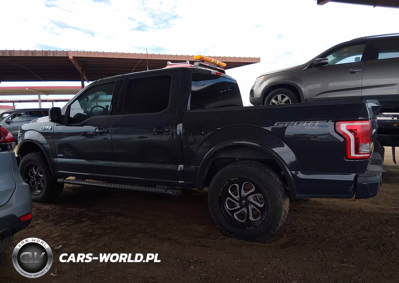 2016 Ford F-150 King Ranch-Lariat-Limited-Platinum-Xl-Xlt VIN:1FTEW1EG7GKF53078 - 14