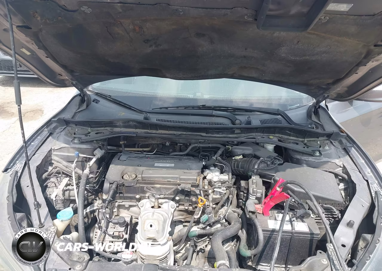 2014 Honda Accord Ex-L VIN:1HGCR2F83EA260942 - 10