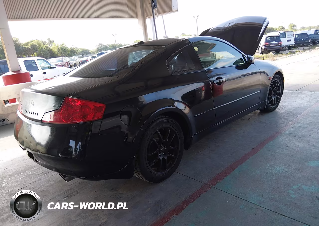 2004 Infiniti G35 VIN:JNKCV54EX4M817197 - 4