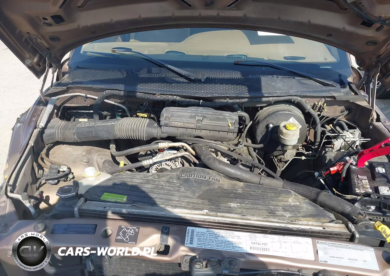 2000 Dodge Ram 1500 St VIN:1B7HC13Z8YJ122296 - 10