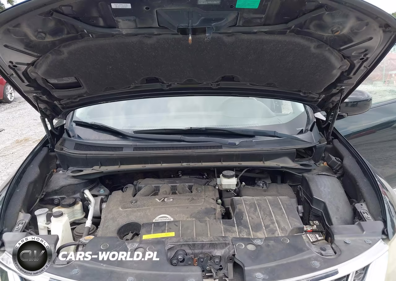 2013 Nissan Murano Le VIN:JN8AZ1MU8DW208938 - 10