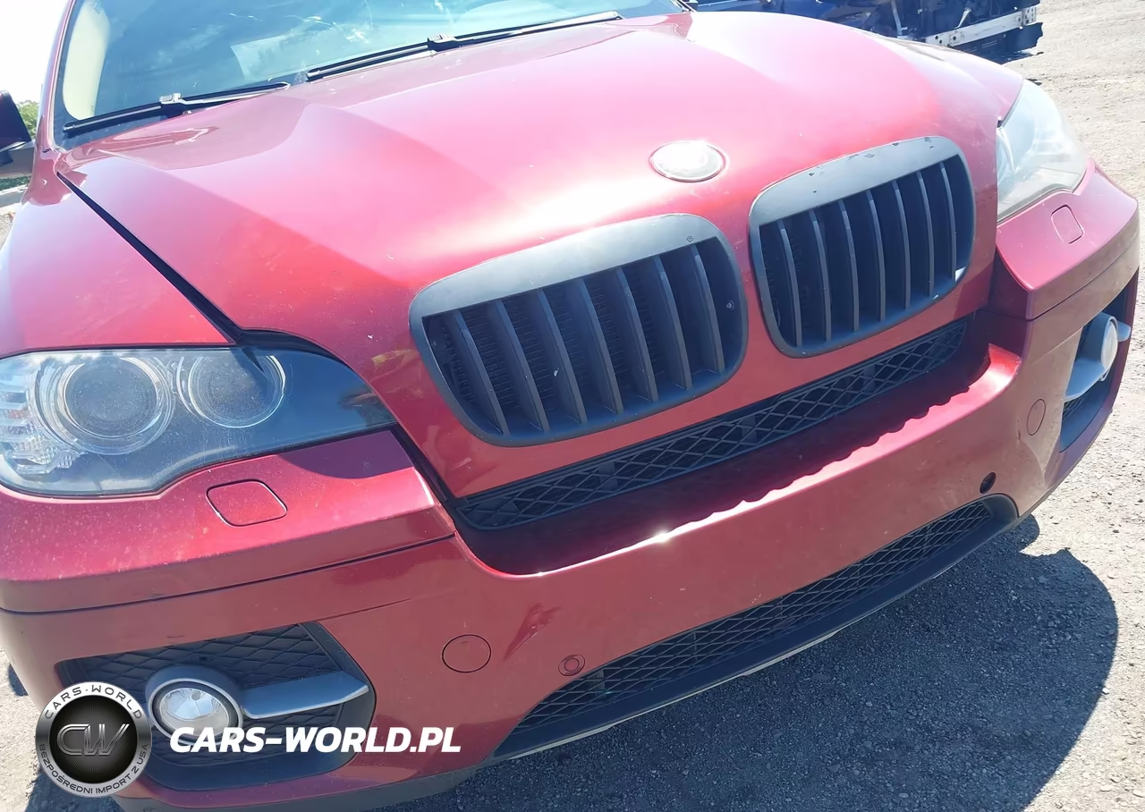 2011 BMW X6 xDrive35I VIN:5UXFG2C57BLX05984 - 6