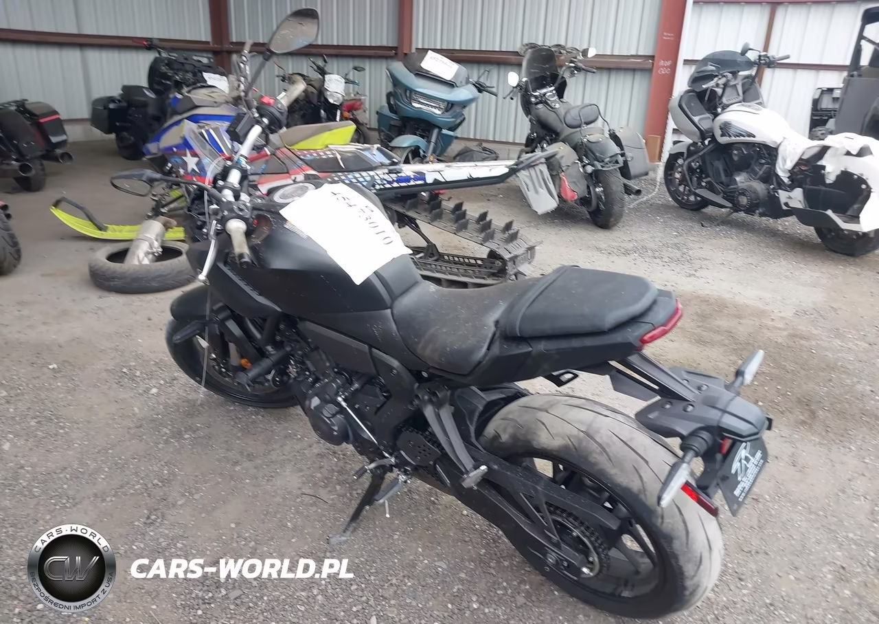 2026 Yamaha Mtn690 VIN:JYARM48E0TA005339 - 3