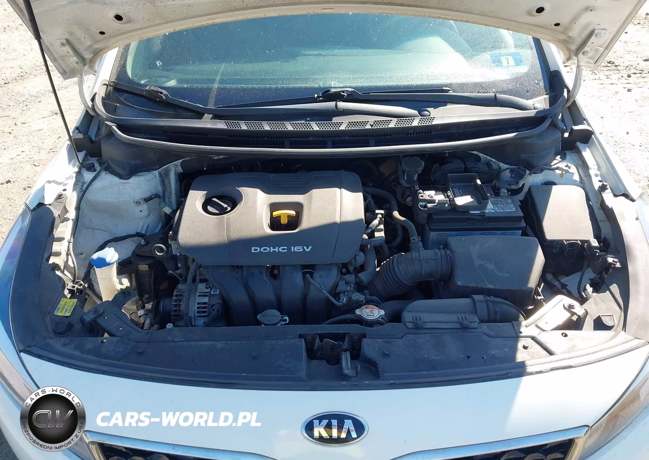 2018 Kia Forte Lx VIN:3KPFK4A77JE235379 - 10