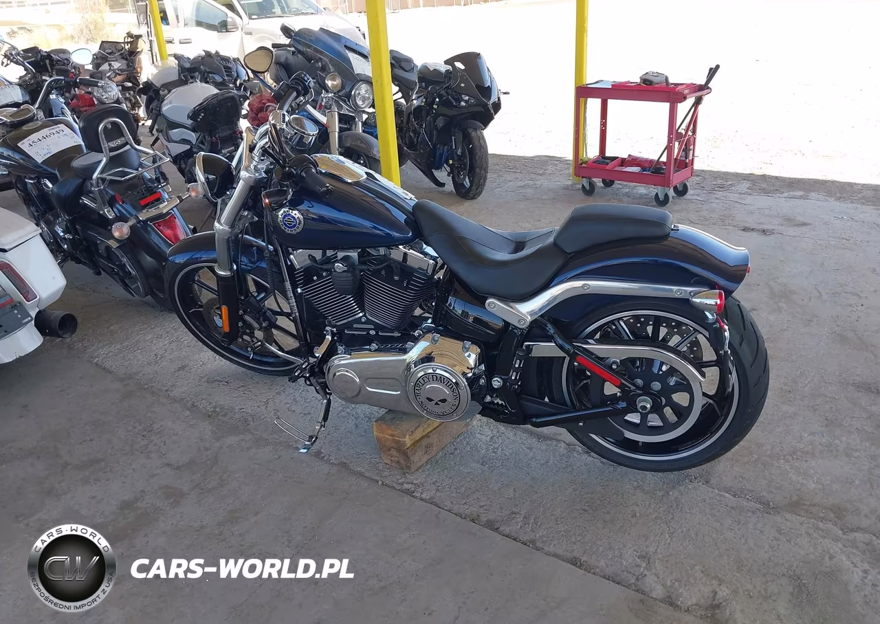 2013 Harley-Davidson Fxsb Breakout VIN:1HD1BFV63DB037969 - 12
