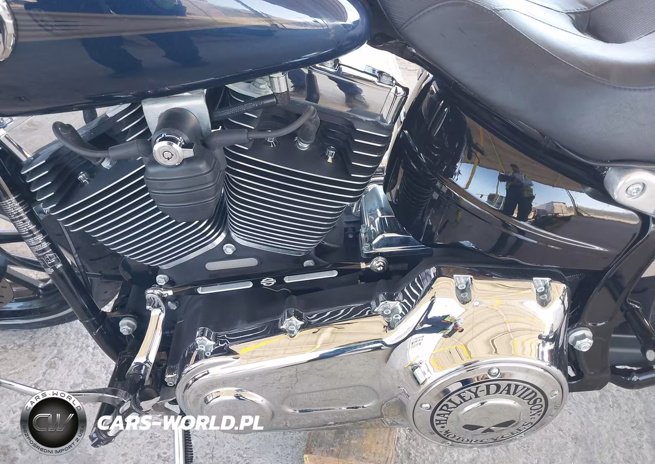 2013 Harley-Davidson Fxsb Breakout VIN:1HD1BFV63DB037969 - 9