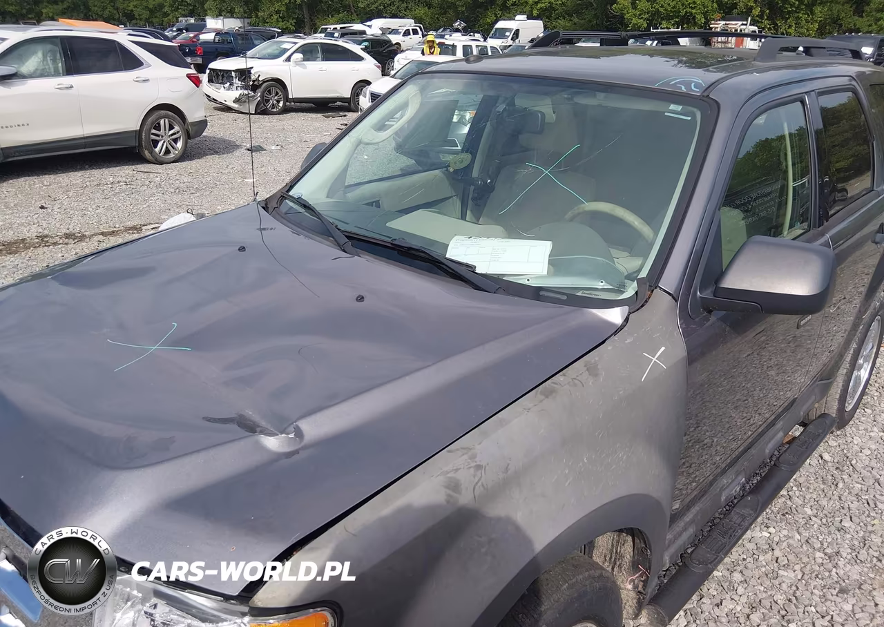 2011 Ford Escape Xlt VIN:1FMCU0D75BKA36682 - 11